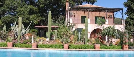 Piscine extérieure, chaises longues