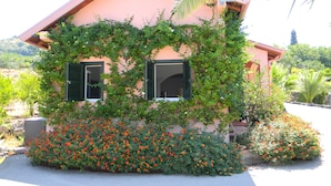 A house with a pink facade, green shutters, and a garden with red flowers. - Gianferrante (Paterno)