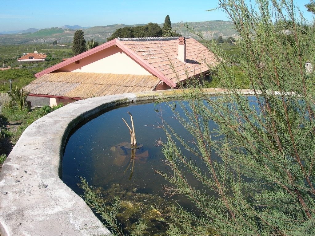 A house with a red roof and a pond in the foreground.