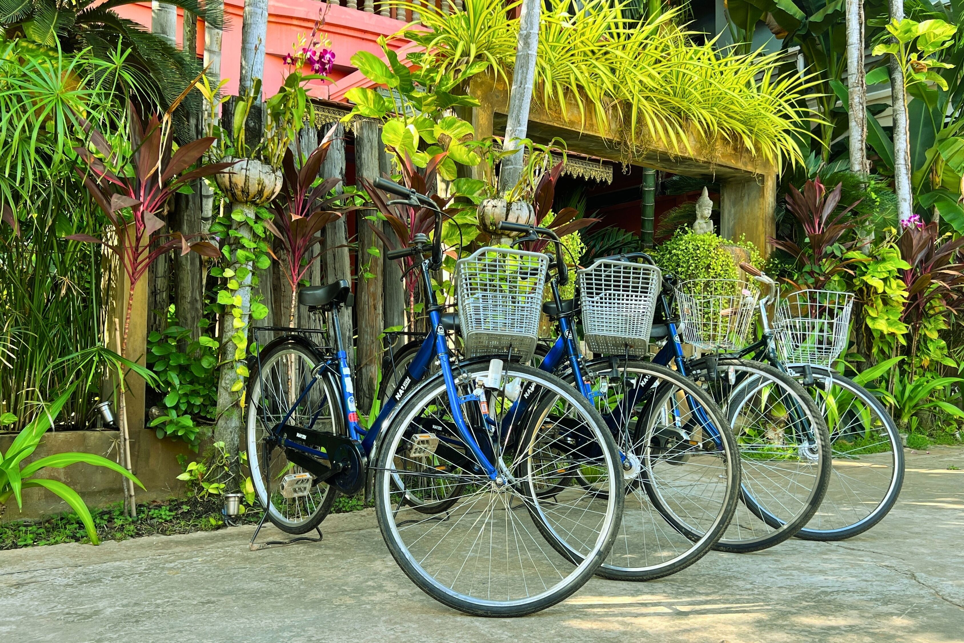 Photo - Golden Butterfly Villa