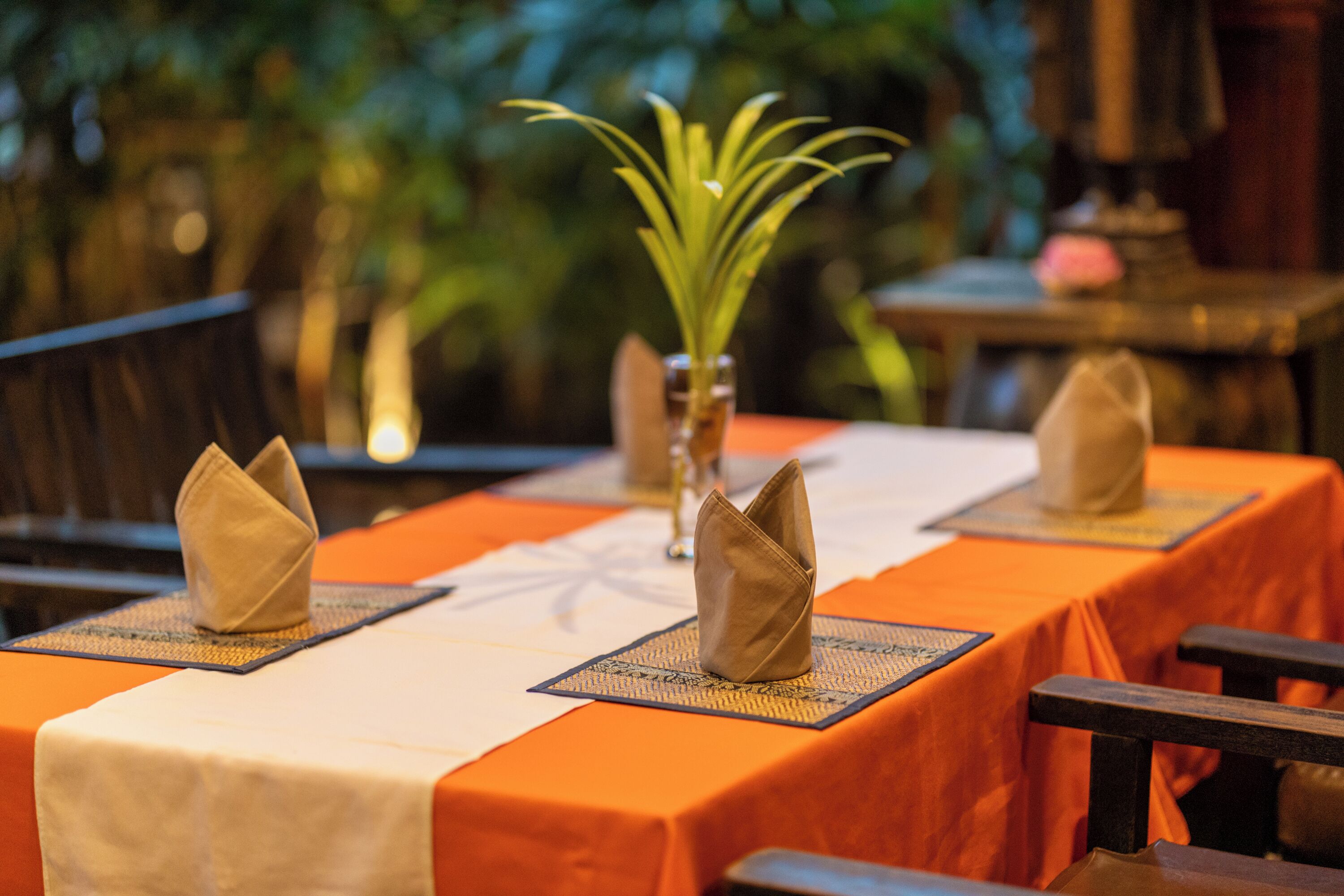 A table set with folded napkins, a vase with a plant, and a tablecloth.