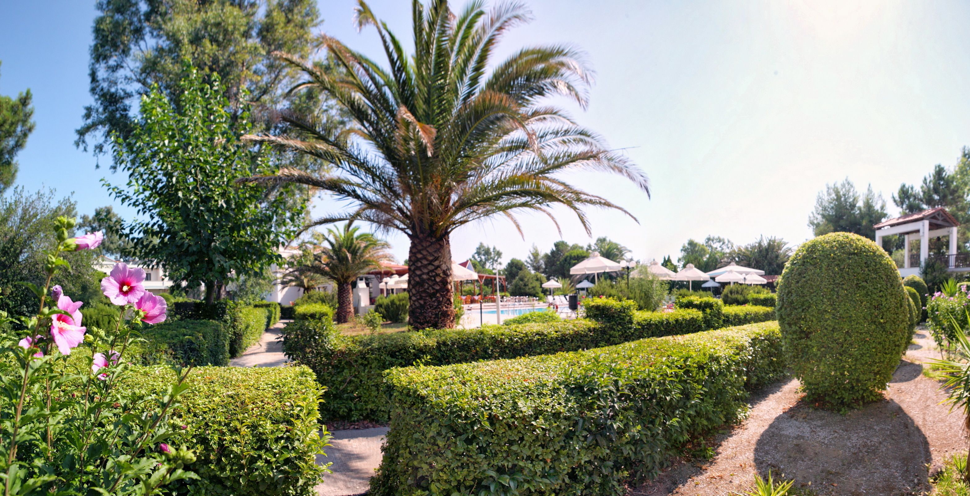 A well-maintained garden with a palm tree, neatly trimmed hedges, and a small gazebo.