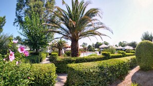 A well-maintained garden with a palm tree, neatly trimmed hedges, and a small gazebo.