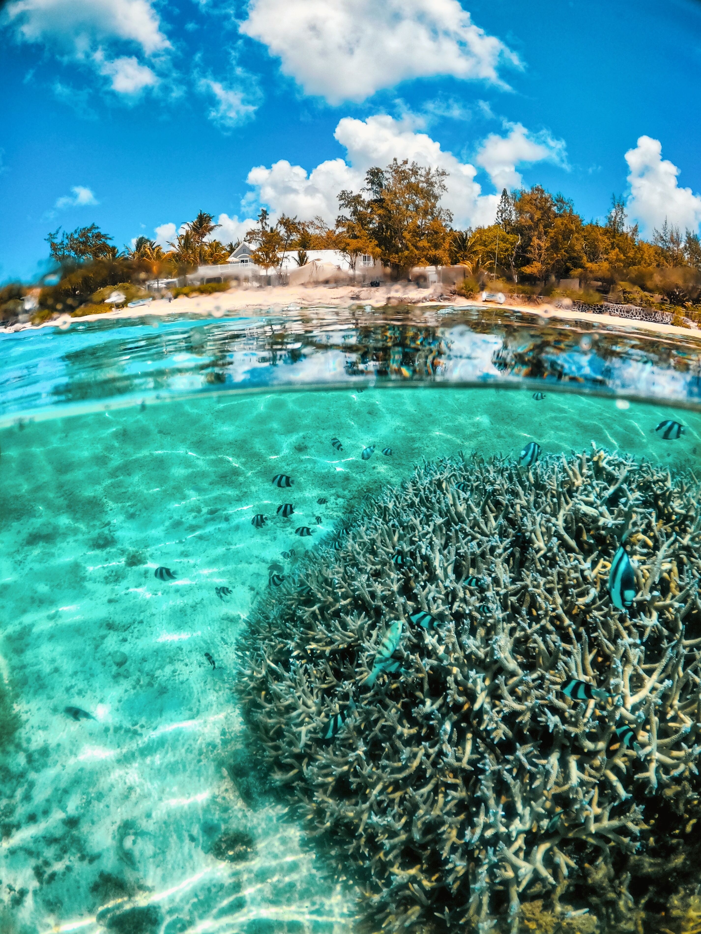 Foto - Astroea Beach Hotel