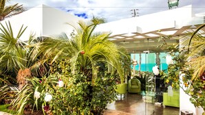 Un moderno vestíbulo de hotel con pared de vidrio, una palmera y un sillón verde.