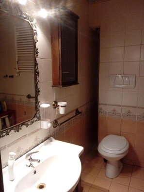 Secador de pelo, batas, bidet, toallas
