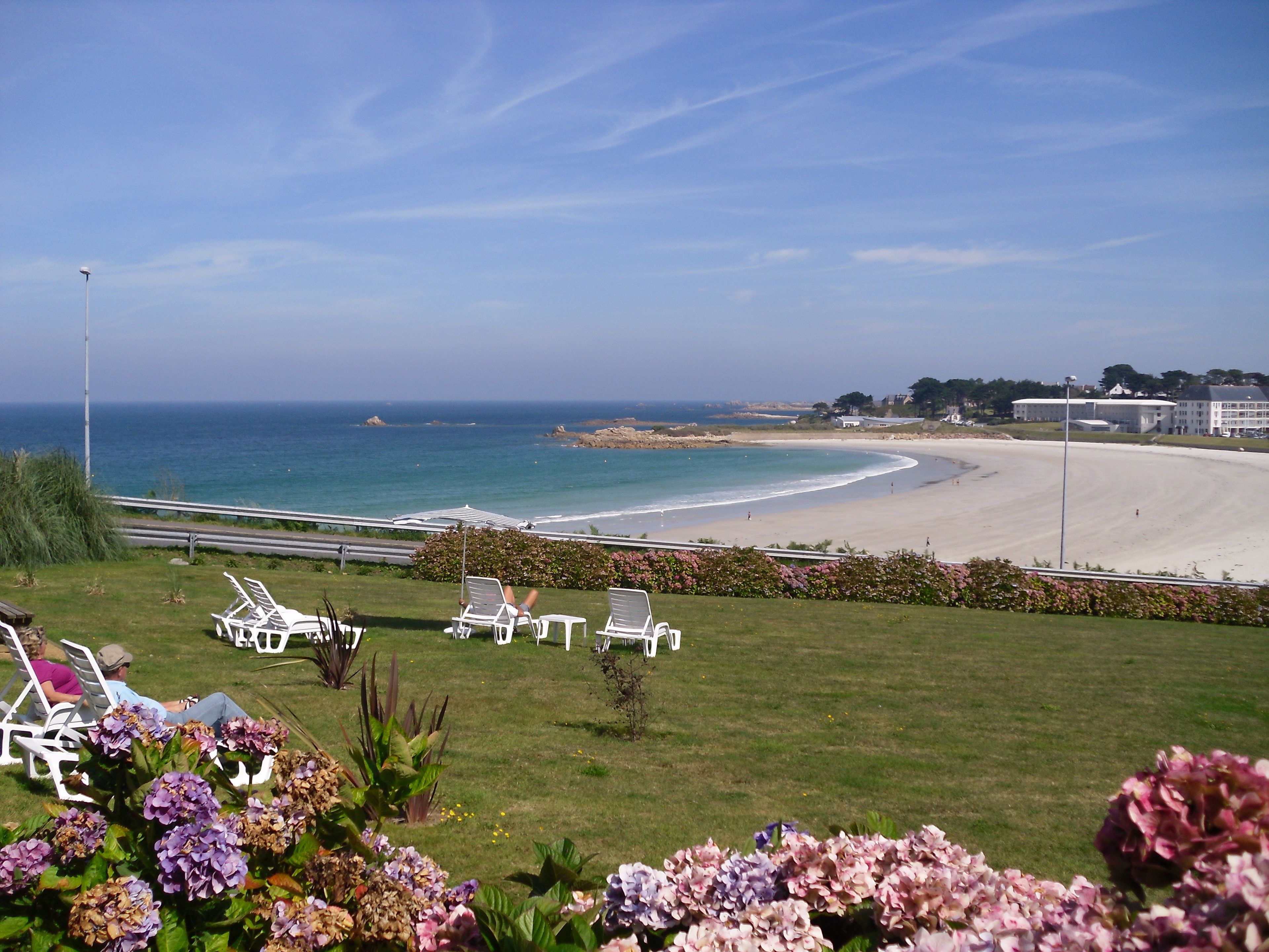 Une vue sur la plage avec des chaises longues blanches, une zone herbeuse parsemée d’hortensias et un ciel dégagé.