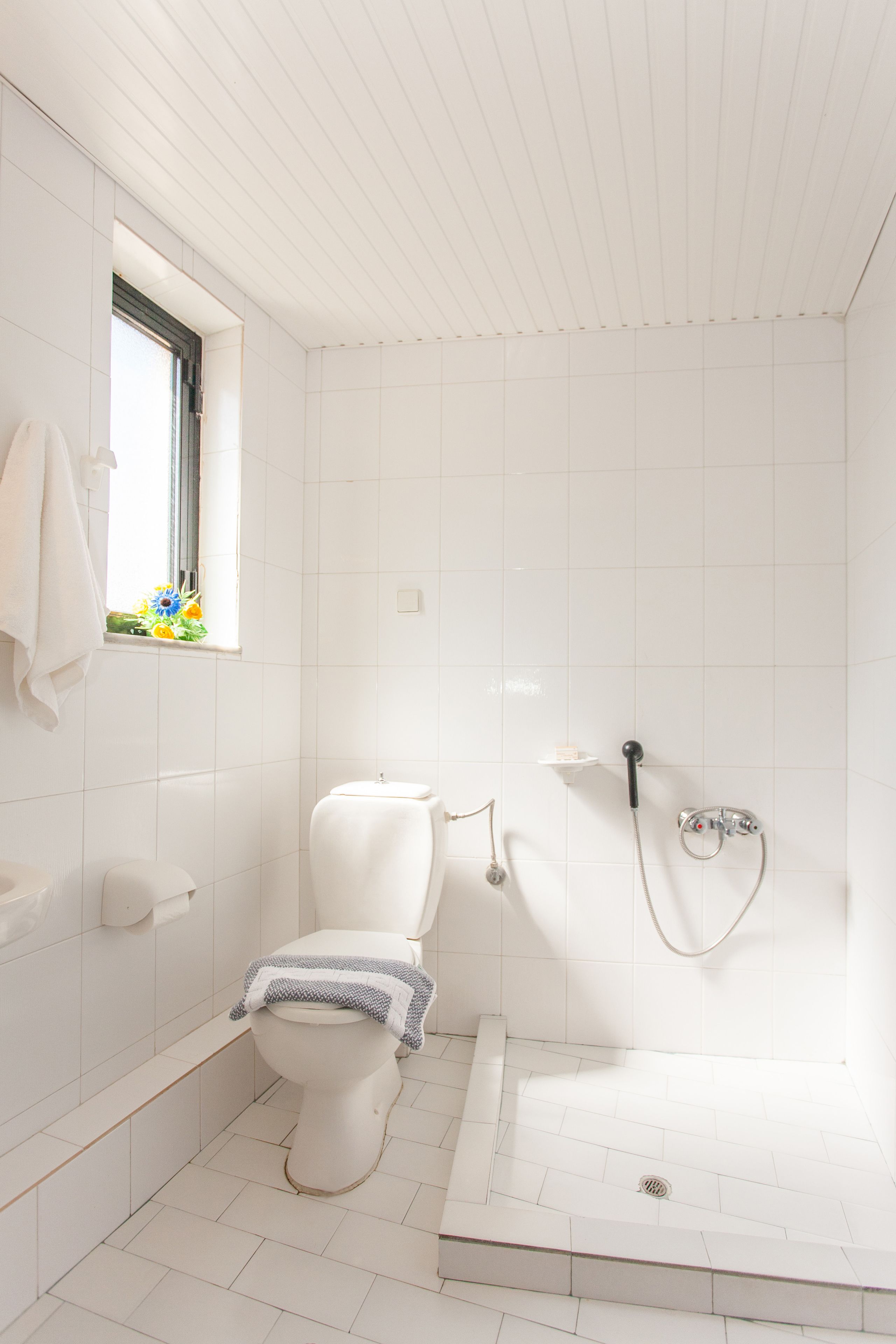 Un baño con inodoro, ducha y ventana.