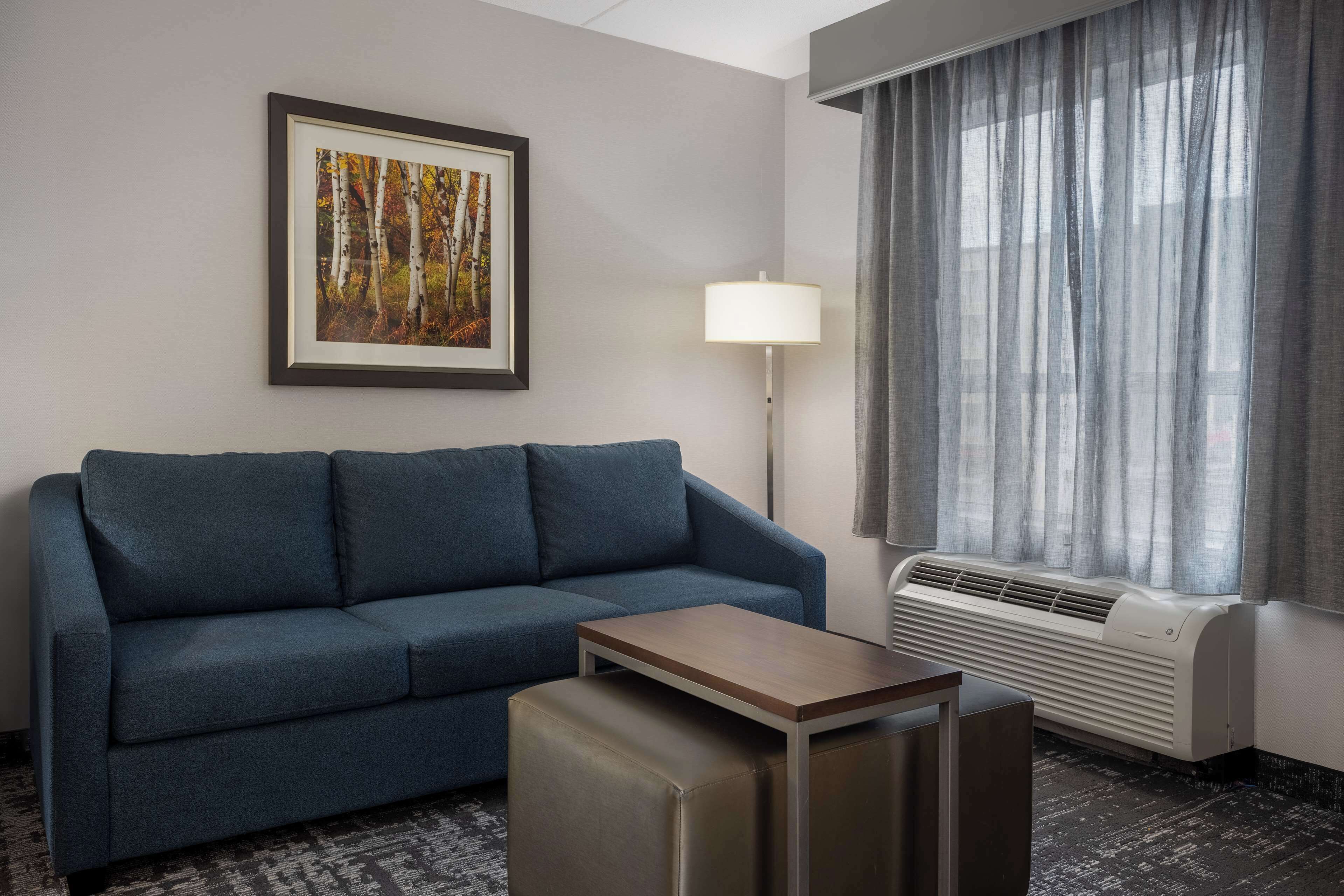 Ein modernes Wohnzimmer mit einem blauen Sofa, einem kleinen Holztisch, einem gerahmten Bild an der Wand, einer Stehlampe und einem Fenster mit Vorhängen.