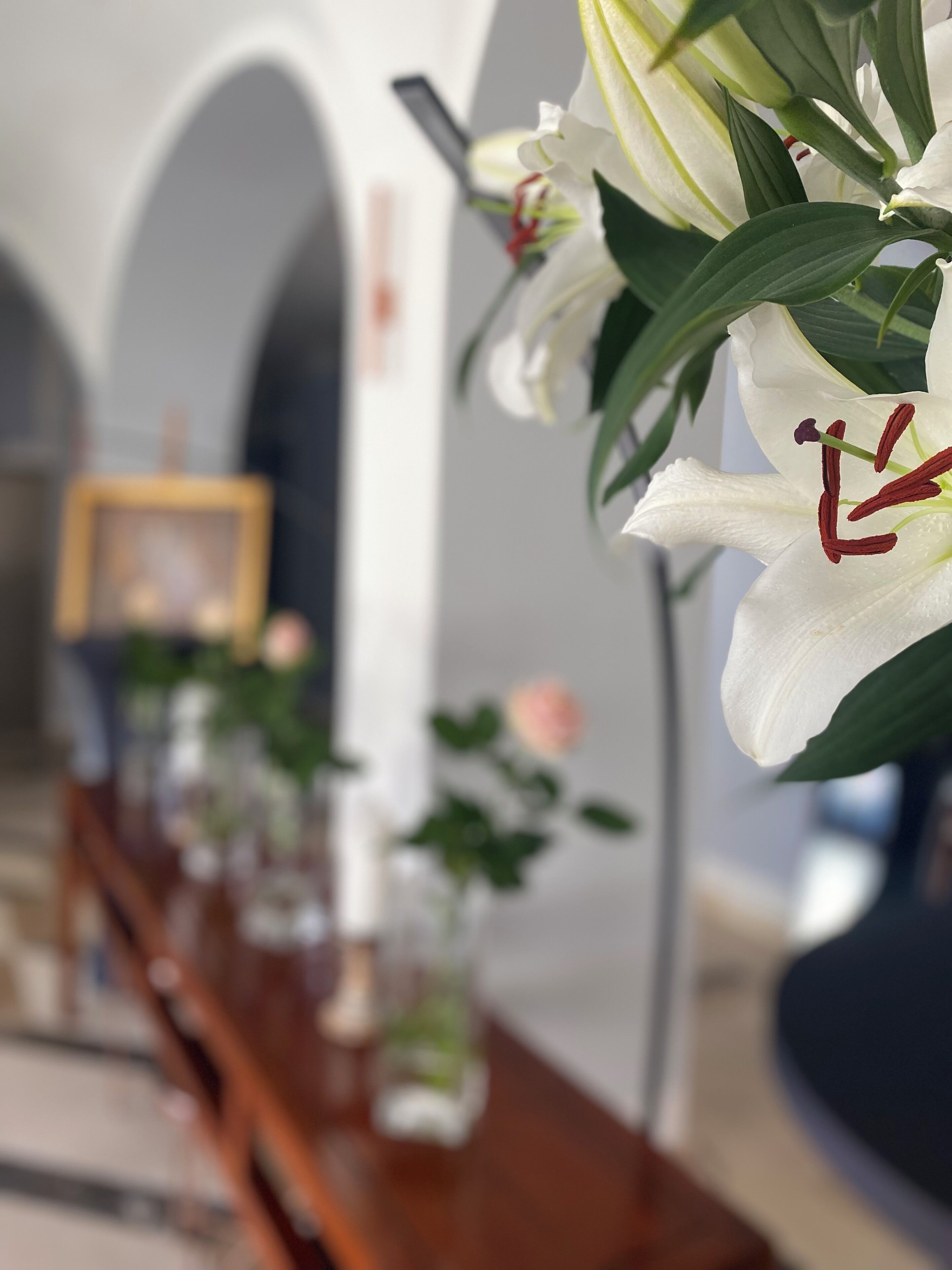 A row of white lilies with red stamens in a well-lit indoor setting.