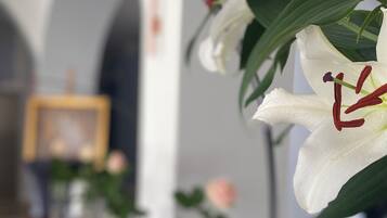 A row of white lilies with red stamens in a well-lit indoor setting.