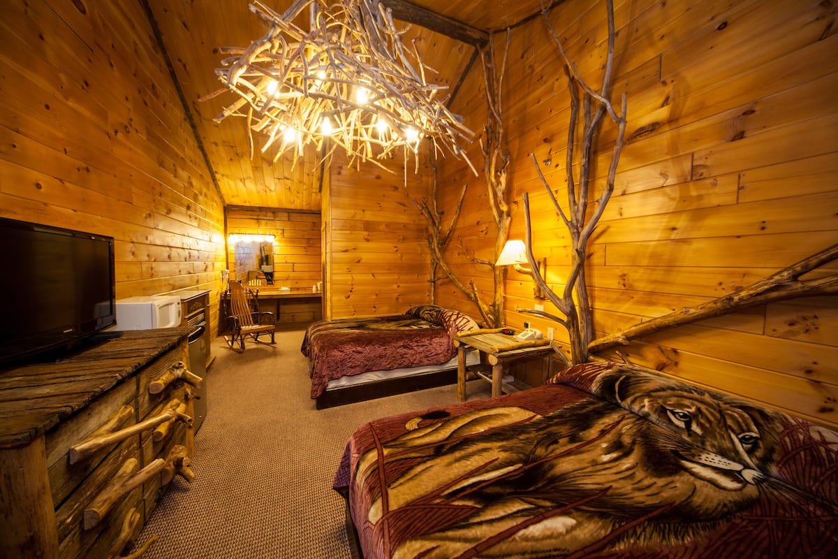 A cozy cabin room with two beds, a television, and a wooden interior.