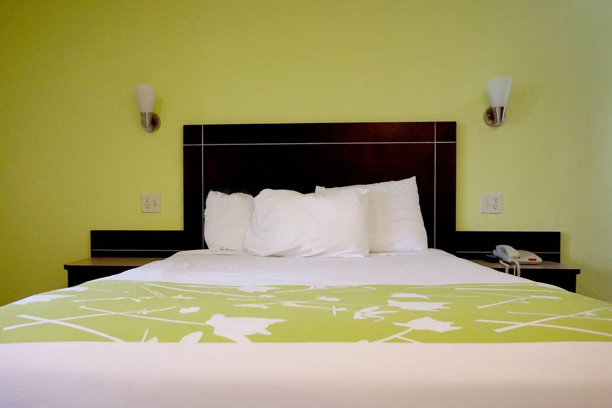 Room, 1 Queen Bed | Desk, iron/ironing board, free WiFi