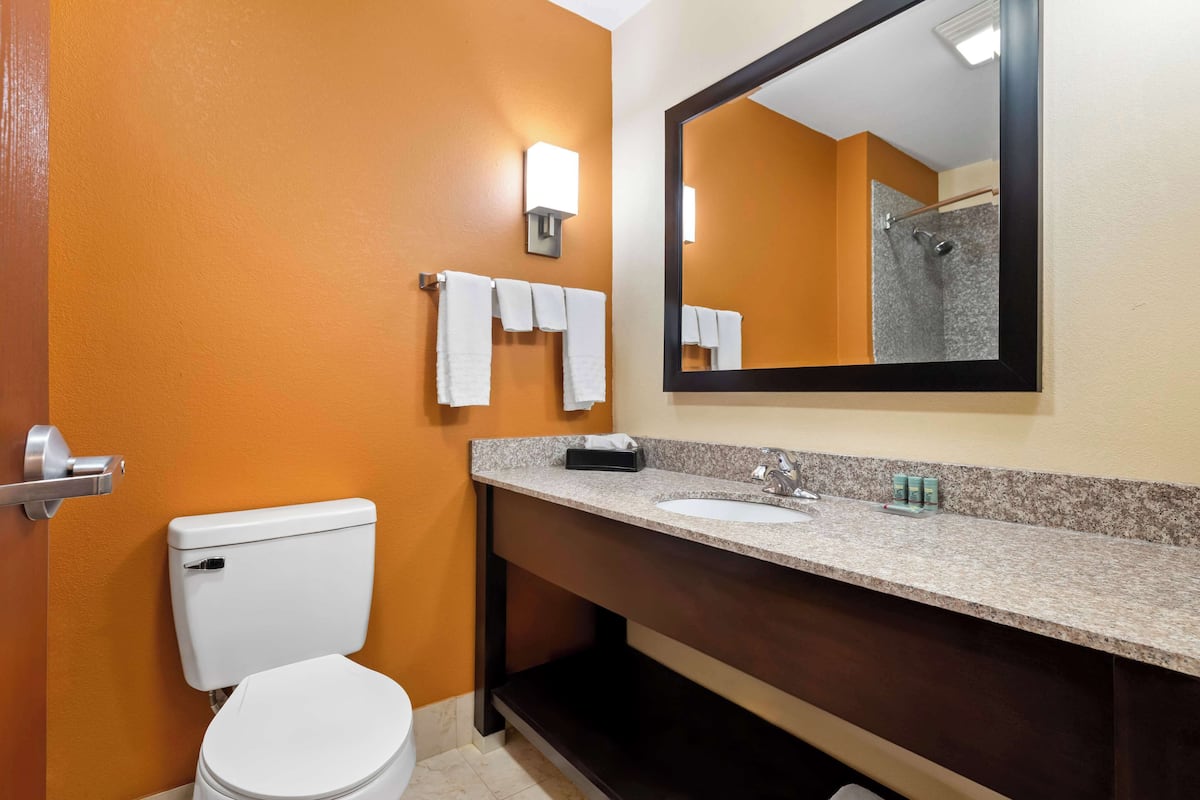 suite, 1 king bed with sofa bed, non smoking, refrigerator & microwave (with sofabed) | bathroom | combined shower/bathtub, hair dryer, towels