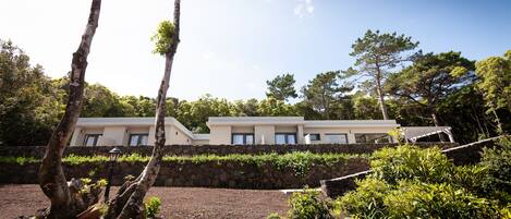 A modern building with a stone retaining wall and lush greenery.