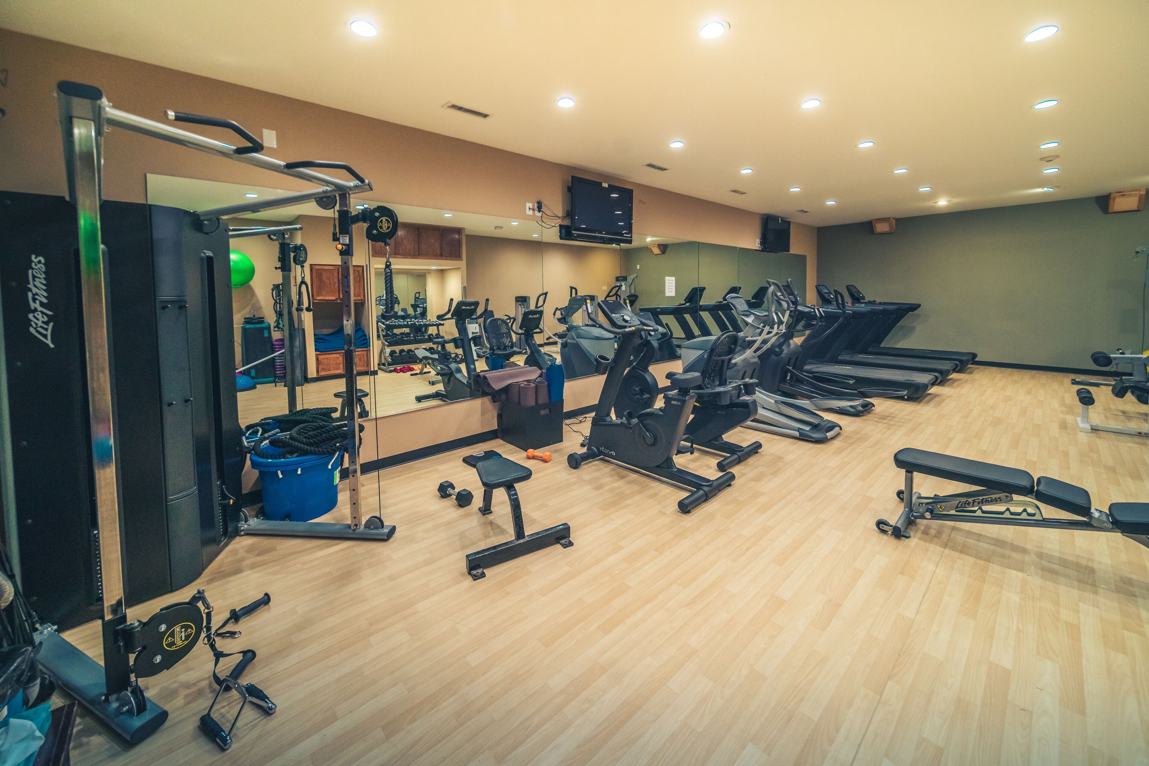 A gym with treadmills, weight machines, and free weights.