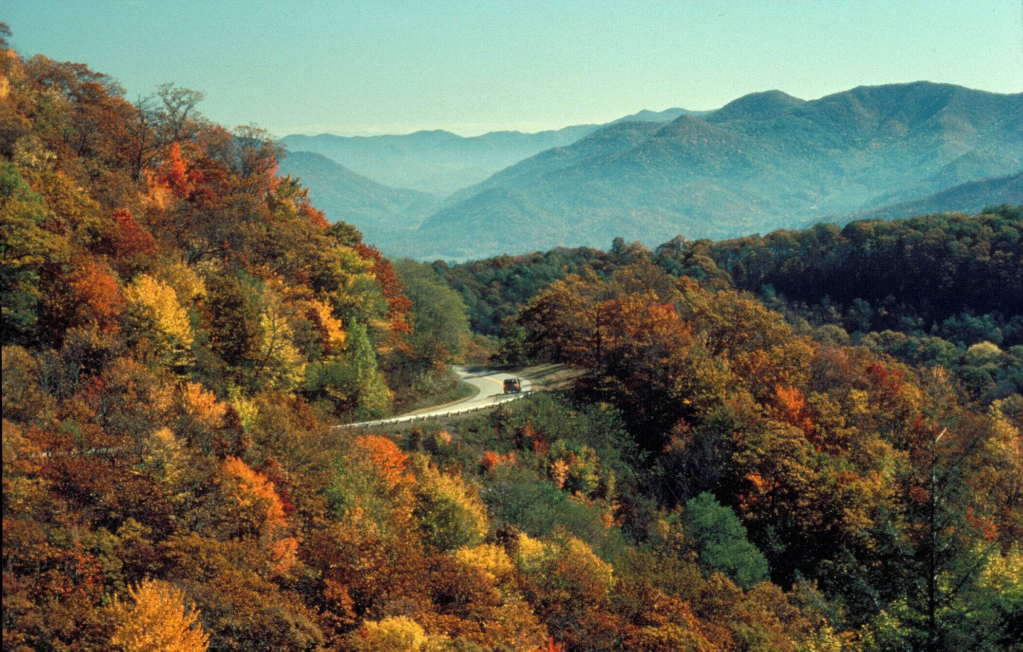 Une route de montagne pittoresque, bordée d’arbres aux couleurs automnales.