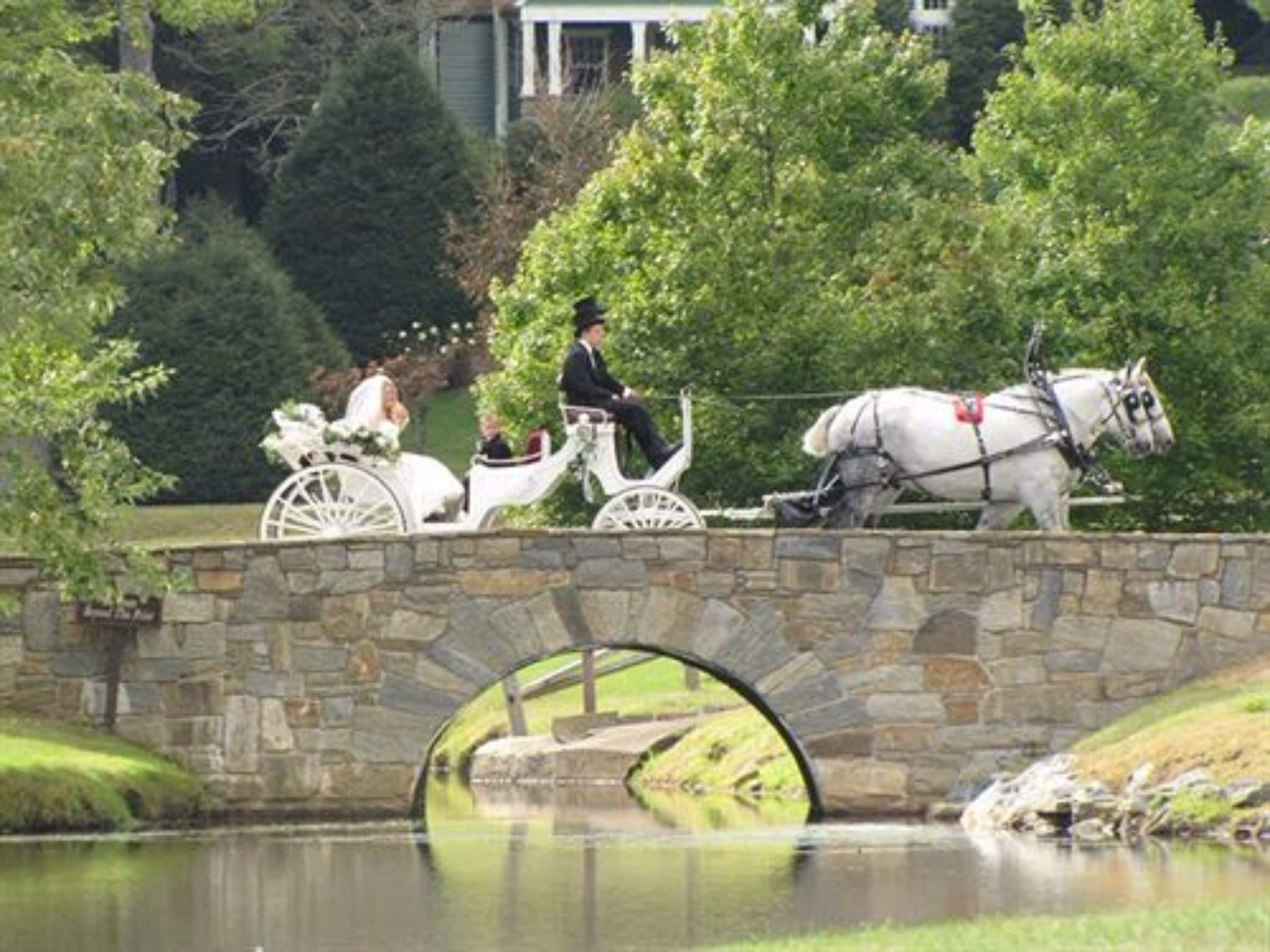 outdoor wedding area