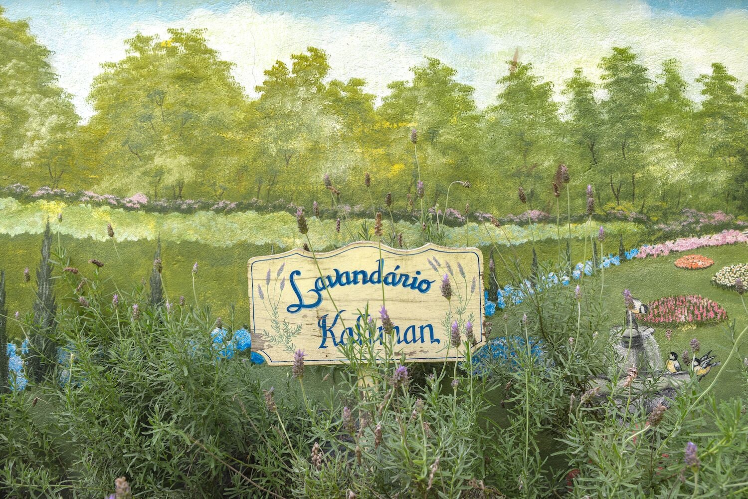 Photo - Kaliman Pousada Campos do Jordão