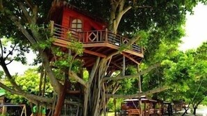 Property grounds - Charm Beach Resort (Ko Pha-ngan)