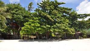 View from property - Charm Beach Resort (Ko Pha-ngan)