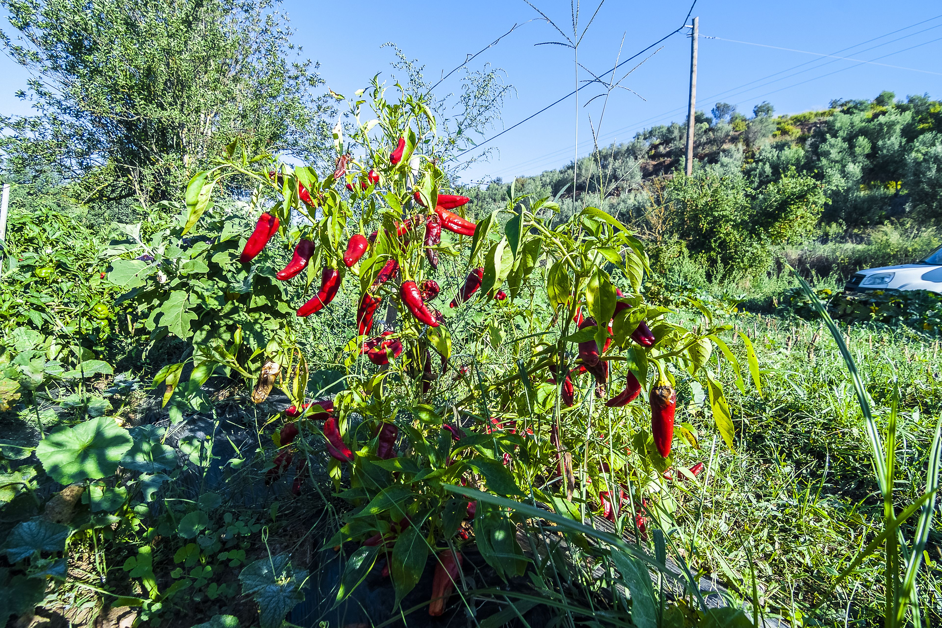 children’s activities