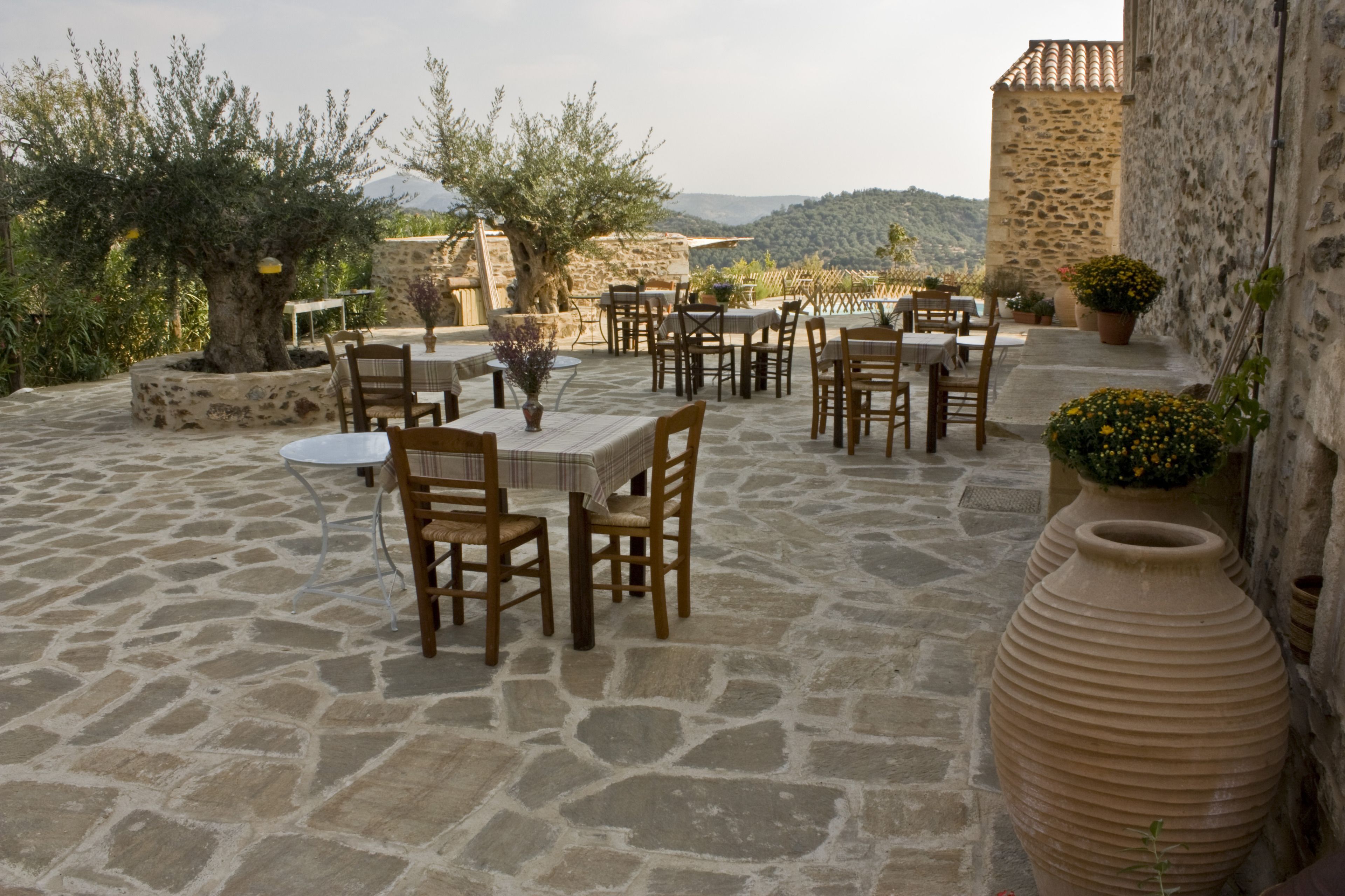 الأطباق المحلية