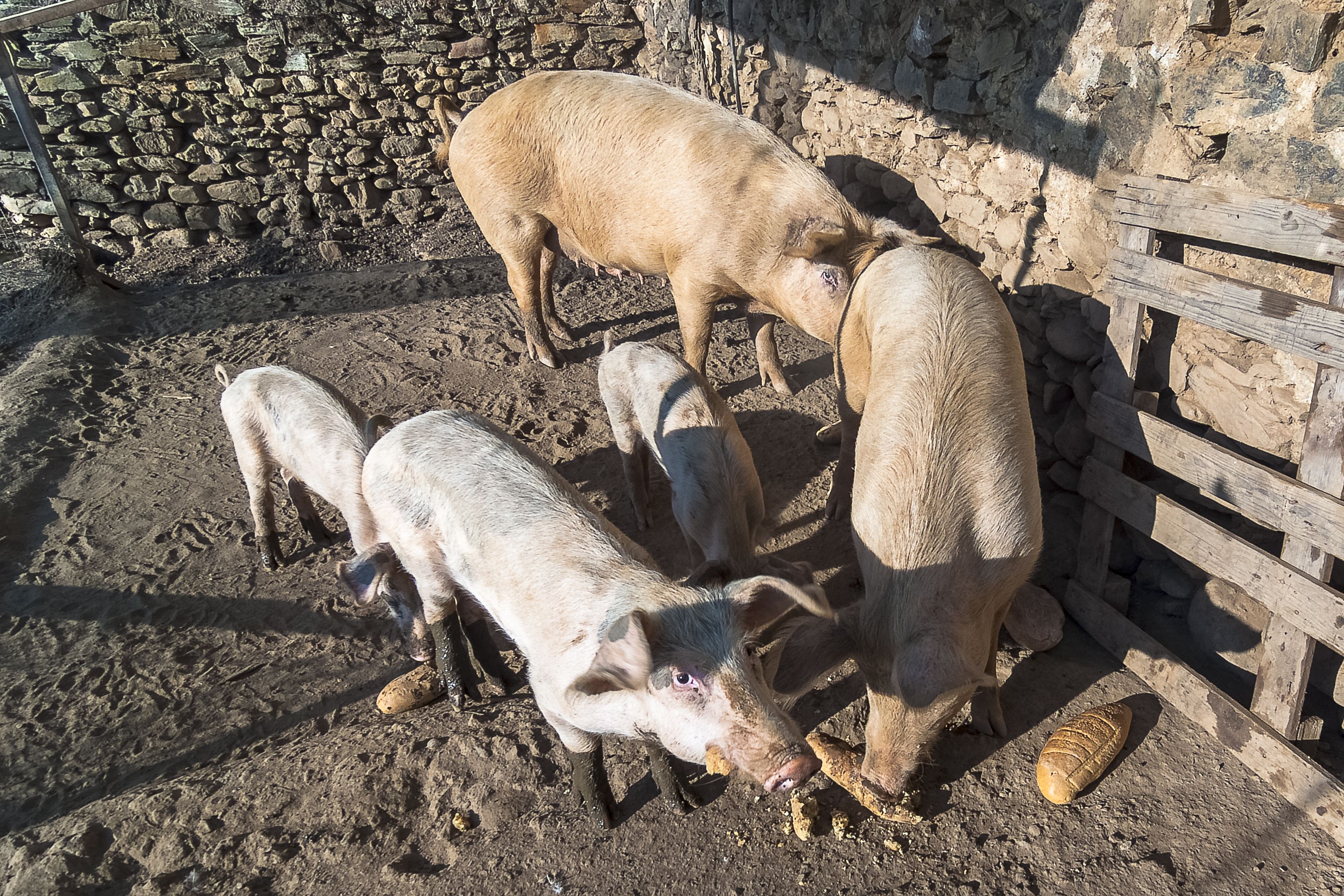 children’s activities