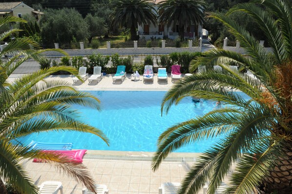 A swimming pool with lounge chairs and palm trees.