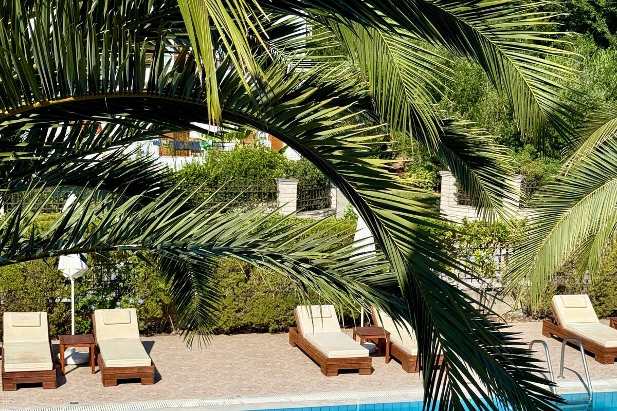A clear blue pool with lounge chairs and a palm tree.