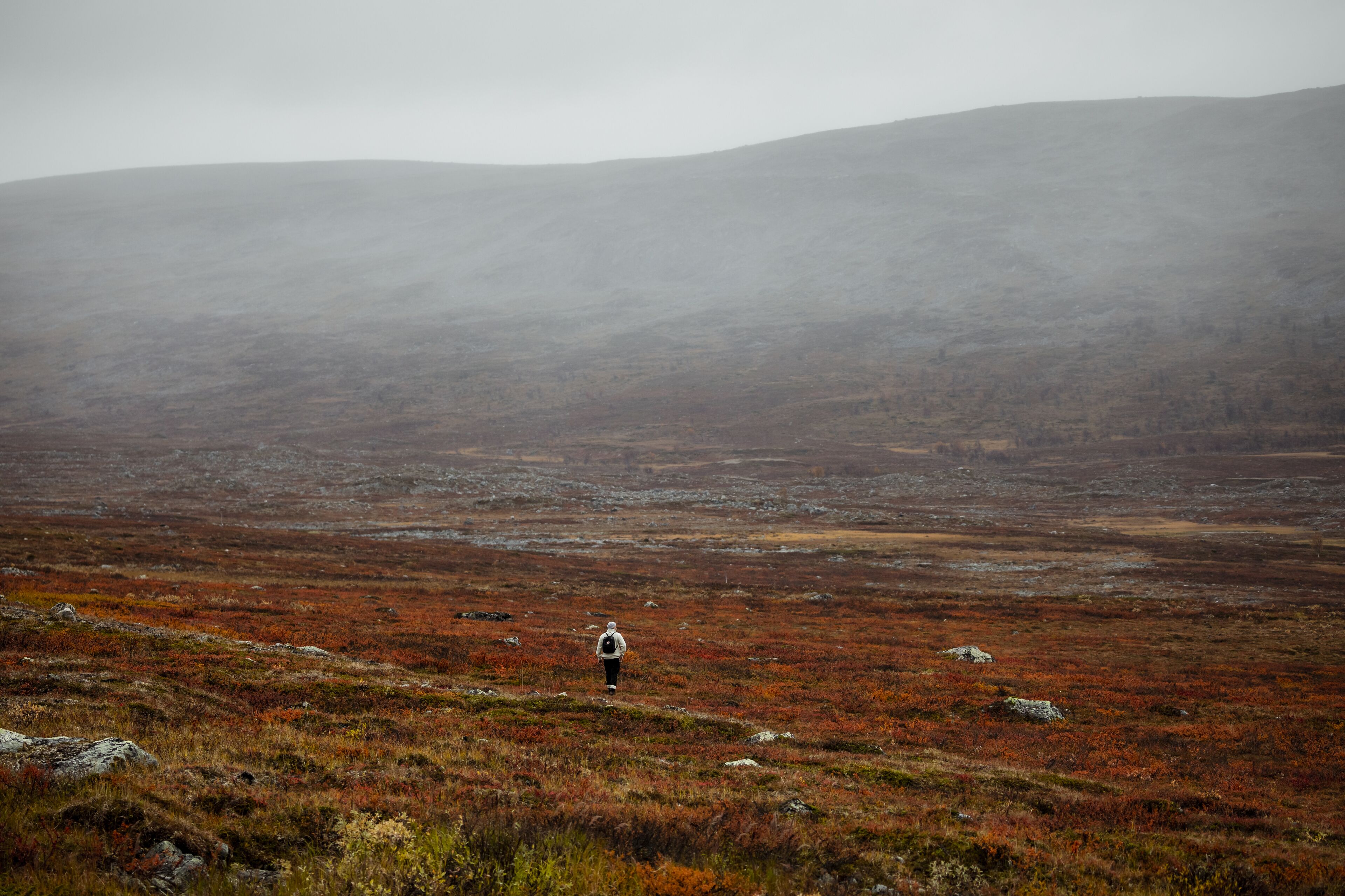 A vast, open landscape with a person walking on a path.