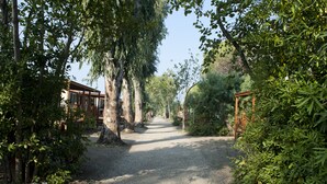 A gravel path flanked by trees and wooden structures, leading to a building with a porch. - New Camping Le Tamerici (Cecina)