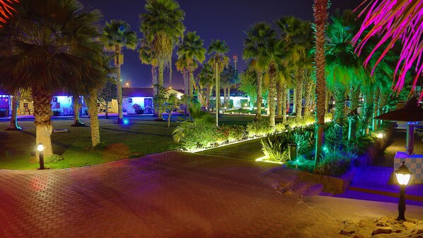 Vista nocturna de una zona ajardinada con palmeras y un camino pavimentado.