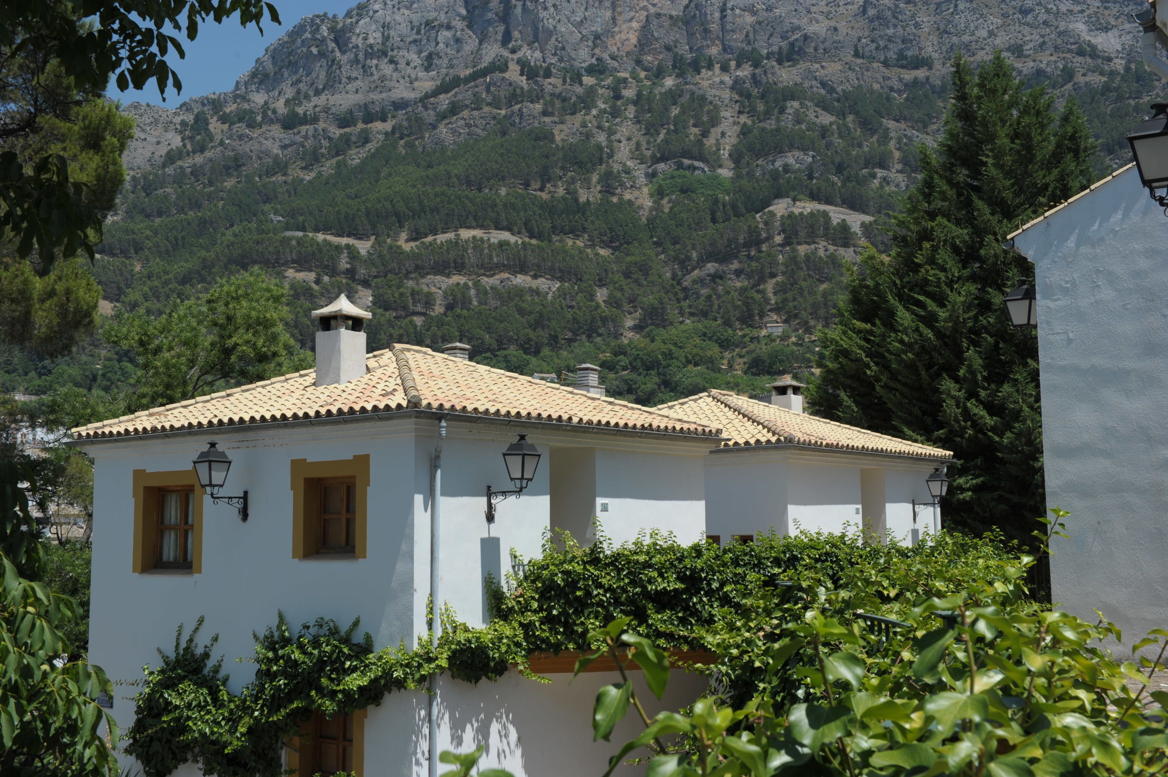 Uitzicht op de bergen