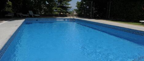 Una piscina rectangular con borde azul y una escalera que da al agua.