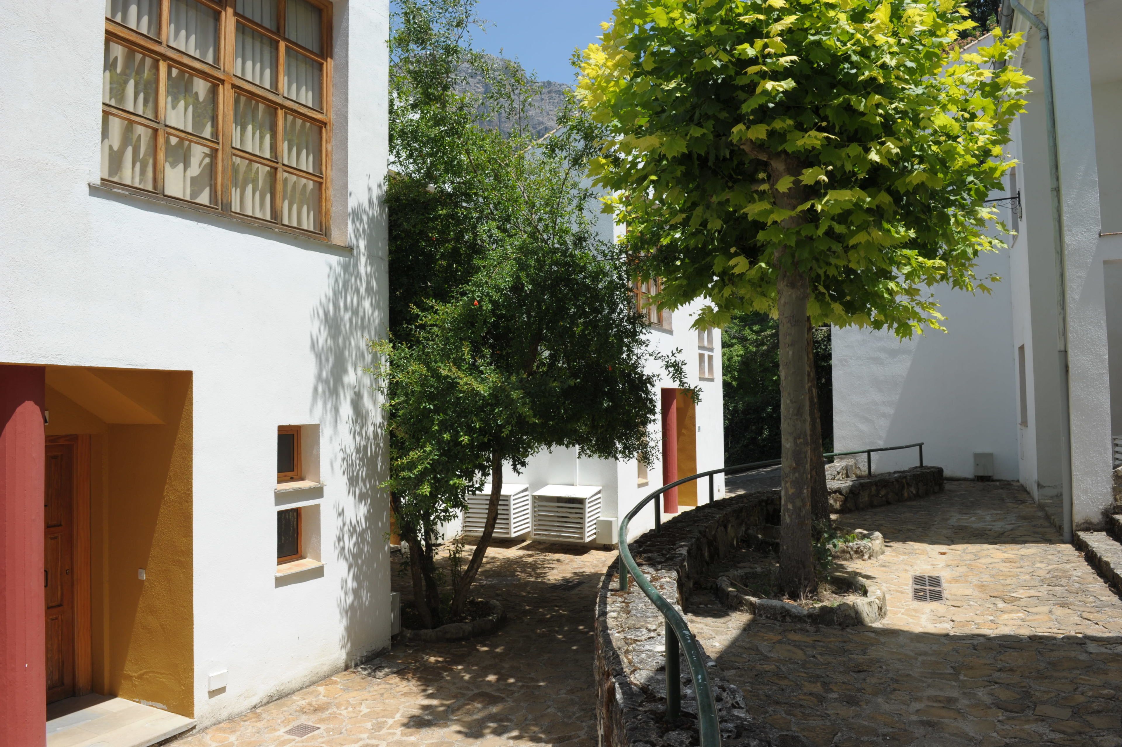 Pátio com edifícios brancos, uma árvore e um caminho de pedra.