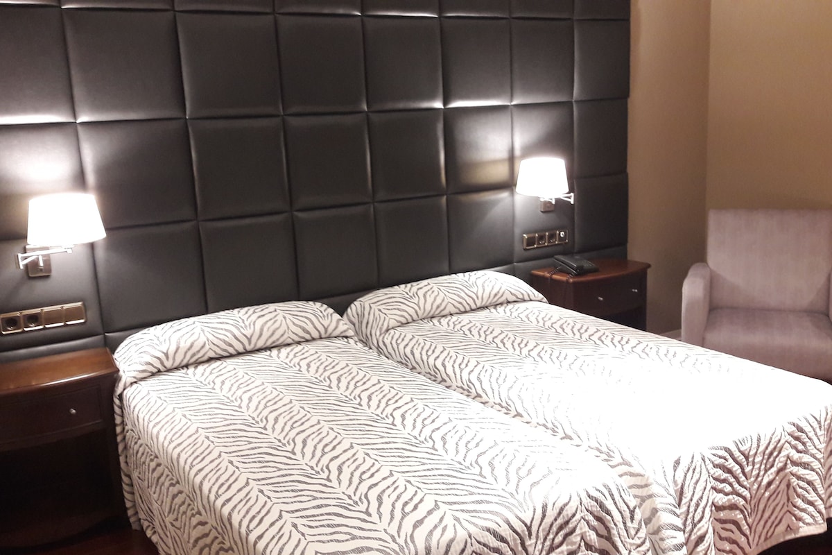 A double bed with zebra-patterned bedding, two bedside tables with lamps, a chair, and a dark headboard.