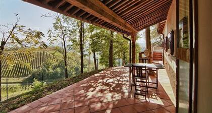 Podere Riosto Cantina&Agriturismo