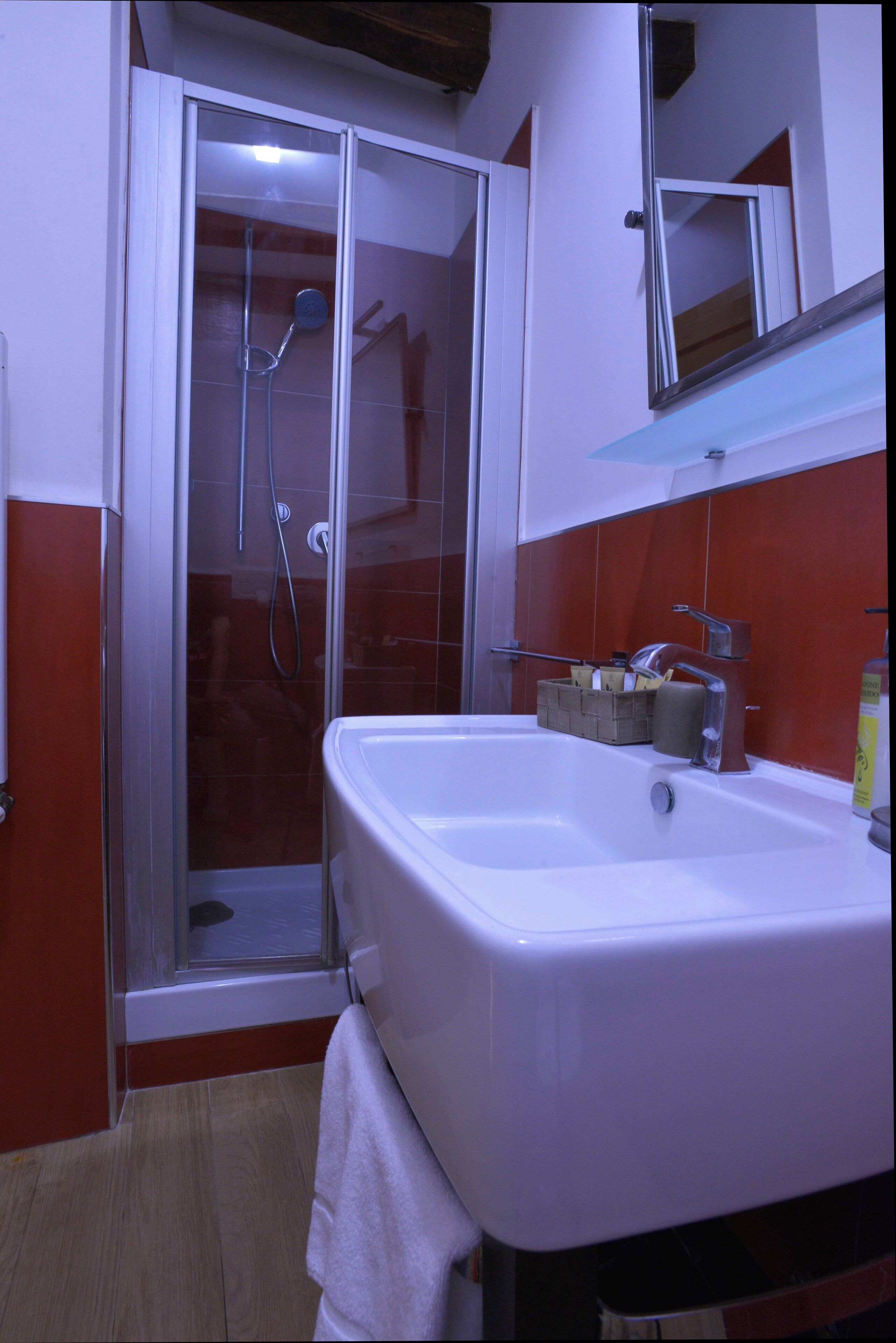 A bathroom with a glass-enclosed shower, a white sink, and a mirror above it.
