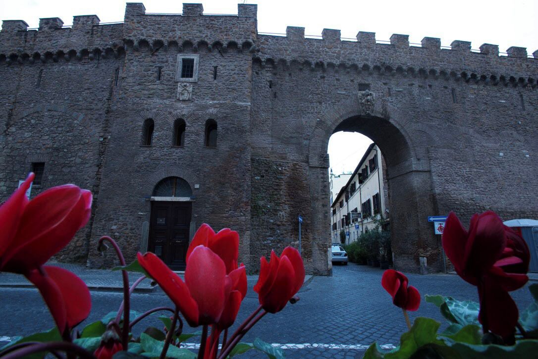 Photo - St. Peter' Six Rooms & Suites