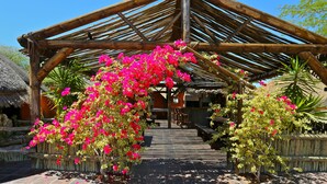 Eine traditionelle Holzhütte mit einem Reetdach, umgeben von üppigen, pinkfarbenen Bougainvilleen.