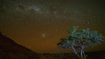 A night sky filled with stars and the Milky Way, with a tree in the foreground.