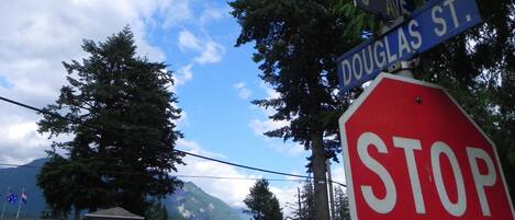 A stop sign at the intersection of Douglas St. and 3rd Ave.