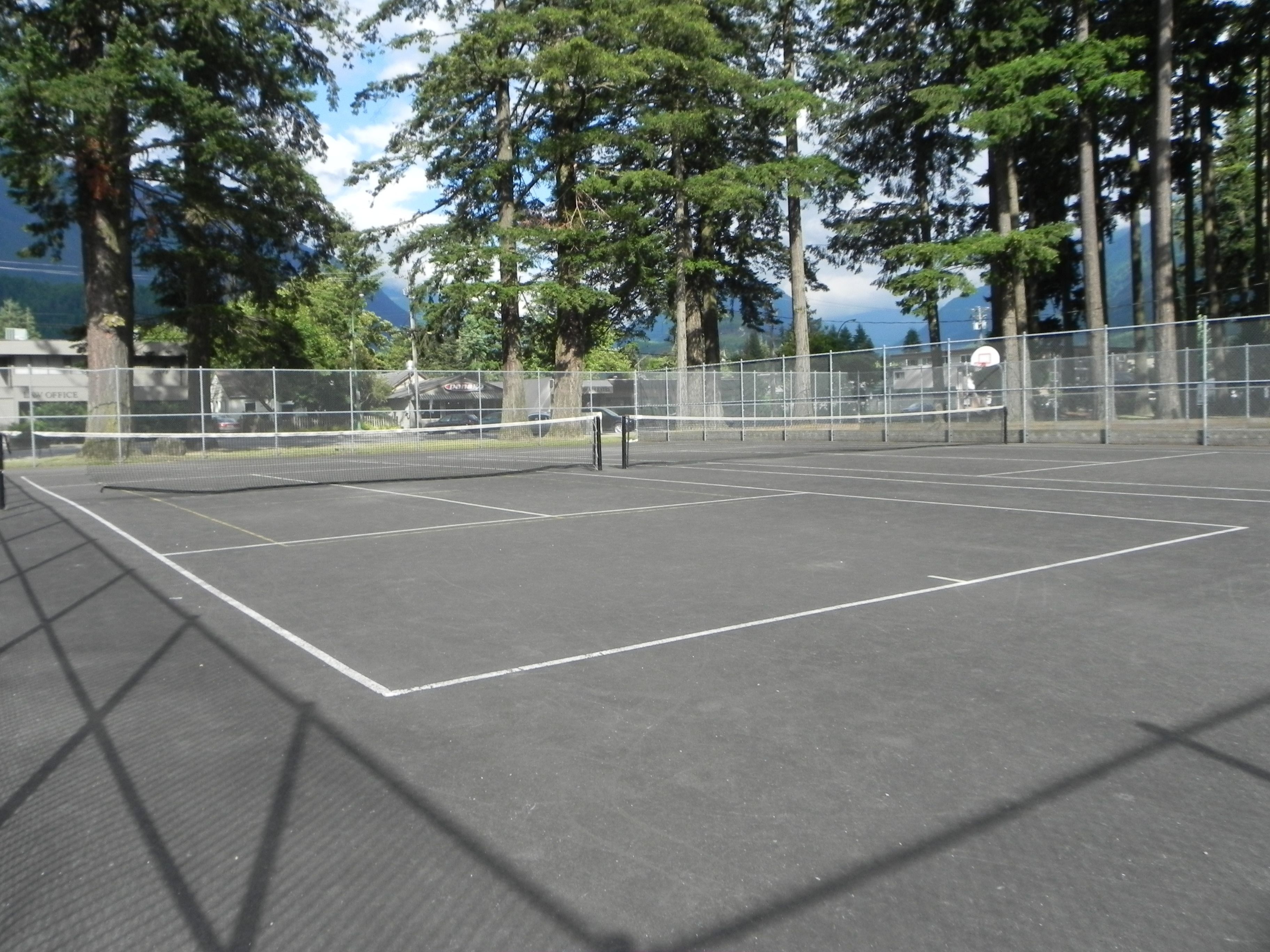 Un court de tennis en plein air, doté d’un filet, entouré d’arbres et délimité par une clôture.