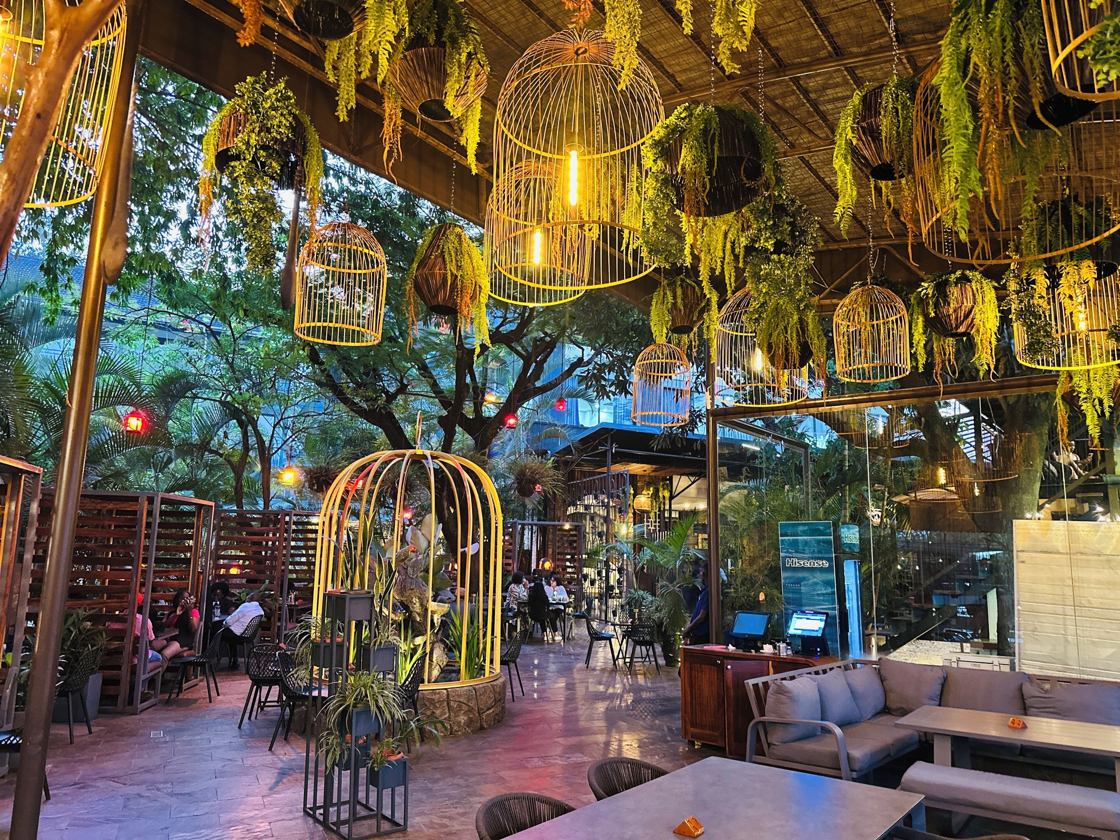 Un comedor interior con plantas colgantes y disposición de mesas y sillas.