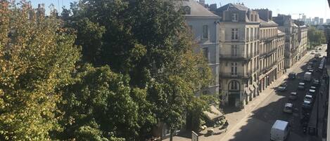 A street view with parked cars, trees, and buildings.