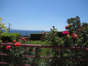 A garden with various flowers and a view of the sea. - Amalia Residences (Marathon)
