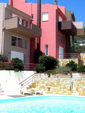 Outdoor pool, sun loungers