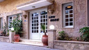 A building with a stone facade, a white door with glass panels, and the name "LINO MARE" above the entrance. There are two large potted plants on the steps. - Hotel Lino Mare (Malevizi)