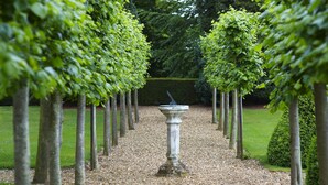 A garden pathway lined with evenly spaced trees and a central stone feature. - Chicheley Hall (Newport Pagnell)